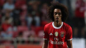 Tomás Tavares na rota do Verona