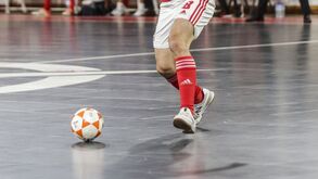 Benfica cede três jogadores a clubes da Liga Placard