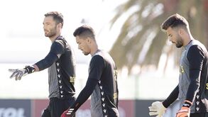 AD(Á)N de leão tem um nome: Maximiano!