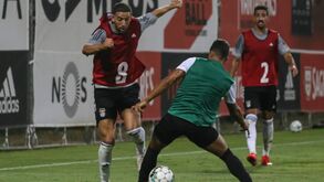 Benfica soma nova goleada na pré-época