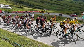 Primoz Roglic diz-se 