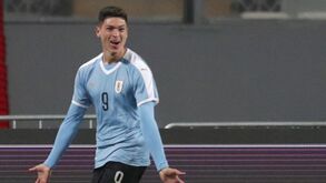 Darwin já não deve seguir para o estágio do Almería