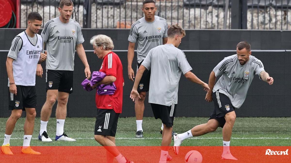 Futuro na Europa em jogo: o onze provável do Benfica para o jogo com o  Salzburgo - Fotogalerias - Jornal Record