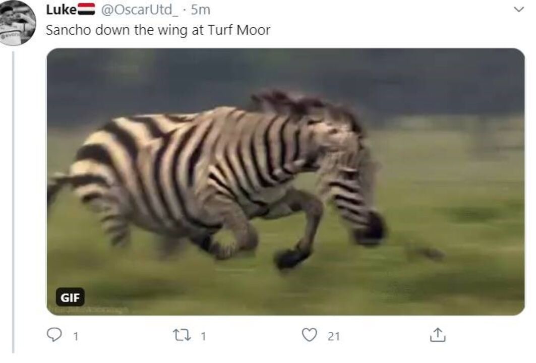 Da Savana A Prisao Terceiro Equipamento Do Manchester United Da Memes Para Todos Os Gostos Fotogalerias Jornal Record