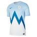 A nova camisola principal da seleção da Eslovénia