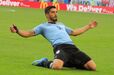 Luis Suárez - 28 milhões de euros (chega do Barcelona)