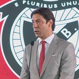 Rui Costa sobre Cavani: «Mais do que falhar, o Benfica foi ambicioso»