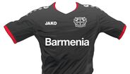 Bayer Leverkusen 