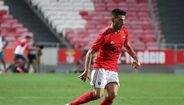 Pizzi