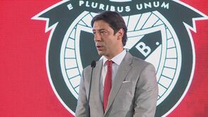 Rui Costa sobre Cavani: «Mais do que falhar, o Benfica foi ambicioso»