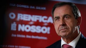 Rui Gomes da Silva: «Luís Filipe Vieira não tem condições para ir a eleições no Benfica»