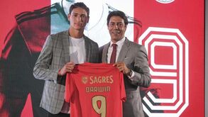 Darwin apresentado no Benfica: o desejo de ser ídolo, as explicações de Rui Costa e Cavani falado