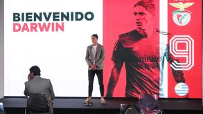 Darwin: «Quero retirar-me como um ídolo no Benfica»