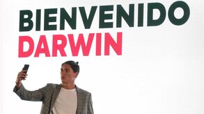 Transferência de Darwin para o Benfica bate quatro recordes, um deles já com 20 anos