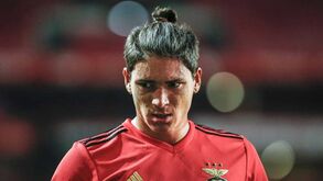 Como jogaram Darwin e restantes reforços do Benfica diante do Rennes