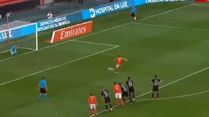 Golos, estreia de Darwin e homenagem a Dito: o resumo do Benfica-Rennes