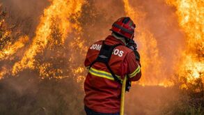 Bombeiro morre em Oliveira de Frades