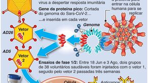 Covid-19: O que já se sabe sobre a vacina Sputnik-V da Rússia