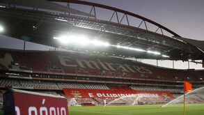 Buscas no Estádio da Luz já terminaram