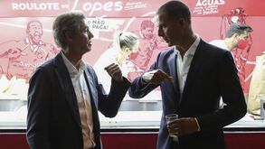 Ricardo Araújo Pereira: «Que não cometa ilegalidades mas também que não seja passarinho»
