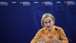 «Não me parece que constitua risco»: Graça Freitas contraria opinião da OMS sobre cumprimentos com cotovelos