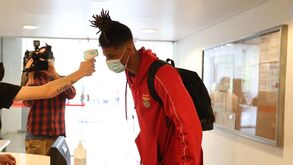 Basquetebol do Benfica suspenso por tempo indeterminado
