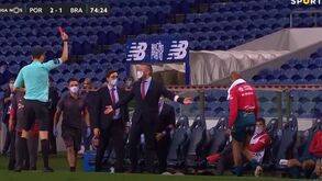 Roger Schmidt: «Enzo? Está em grande forma e muito contente por jogar no Benfica»