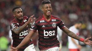 Flamengo aberto a falar com o Benfica: «O pessoal está animado para levar os jogadores»