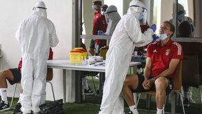 Liga Revelação: 'Testes rápidos' à Covid-19 antes do dérbi