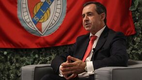 Rui Gomes da Silva sobre Rúben Dias: «Sócios do Benfica a serem enganados de forma escandalosa»