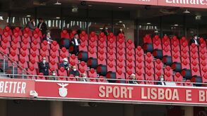 Depois da 'nega' da DGS, assim está a tribuna da Luz no primeiro jogo caseiro do Benfica