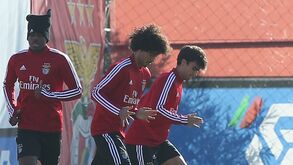 Jota e Tomás Tavares: dupla do Benfica com solução à vista