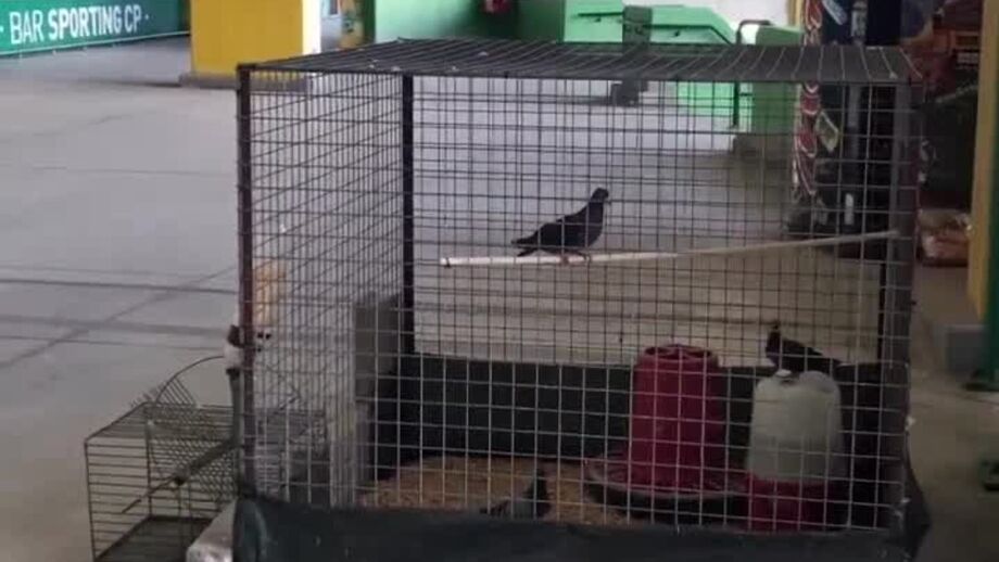 Clube escocês partilhou o momento nas redes sociais