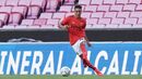450. Pedrinho, 20 M€ (+2,9 M€)
