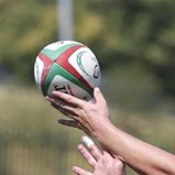 Covid-19: Federação queixa-se de tratamento desigual por parte da World Rugby