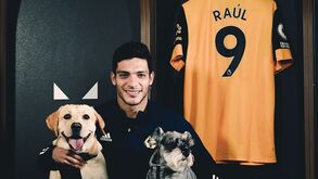Raúl Jimenez renova com o Wolverhampton até 2024