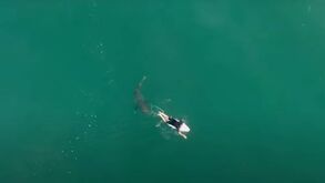 Surfista Matt Wilkinson escapa por milímetros a ataque de tubarão 