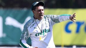 Palmeiras despede Vanderlei Luxemburgo 