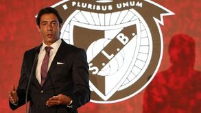 Rui Costa deixa garantia a Vieira: «Prometo que continuarei a ser um grande chato»