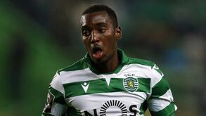 Dínamo Zagreb tenta Rafael Camacho: «Estamos em negociações»