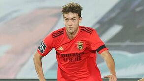 Os jogadores do Benfica um a um: engenharia alemã