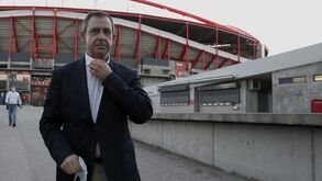 Rui Gomes da Silva: «O Benfica não vai ser campeão europeu só com a formação»