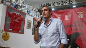Noronha Lopes: «Comentadores da Benfica TV têm aproveitado para louvar Vieira»
