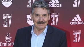 Toni: «Espero que no final haja só um Benfica e não três»