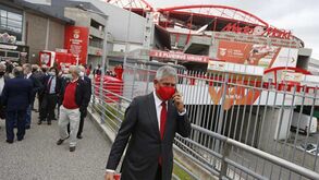 Vieira: «Espero que respeitem os resultados e que a partir de agora haja um só Benfica»
