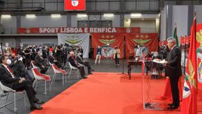 Luís Filipe Vieira reeleito presidente do Benfica nas eleições mais participadas de sempre