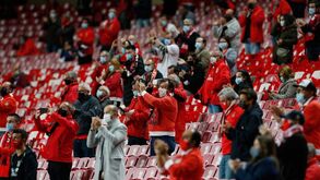Público voltou ao Estádio da Luz: como estão as bancadas e o detalhe das cadeiras