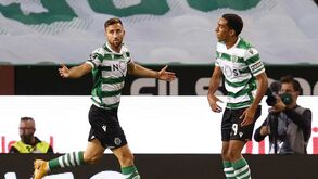 Luta pela posição '9' do Sporting ao rubro: as três opções e o que cada um dá a Amorim