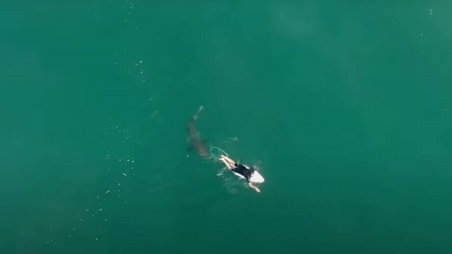 Australiano apanhou um grande susto durante uma sessão de surf