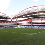 Movimento 'Servir o Benfica' lança requerimento para realização de AG extraordinária
